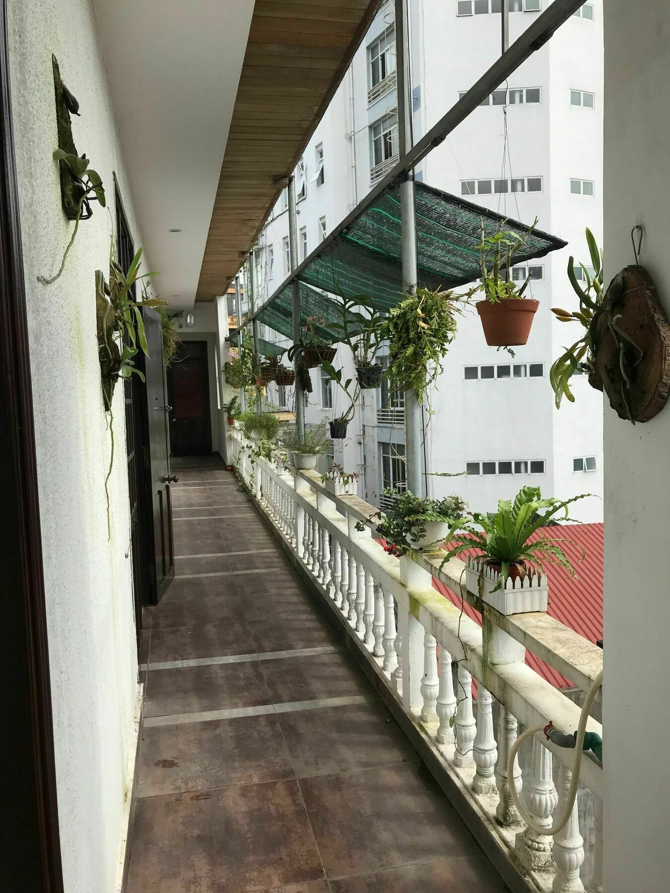 Sunny A Hotel Hue Luaran gambar
